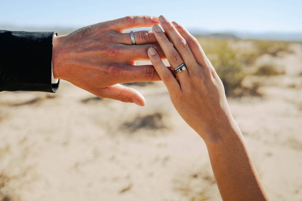 Monica + Chad - Joshua Tree