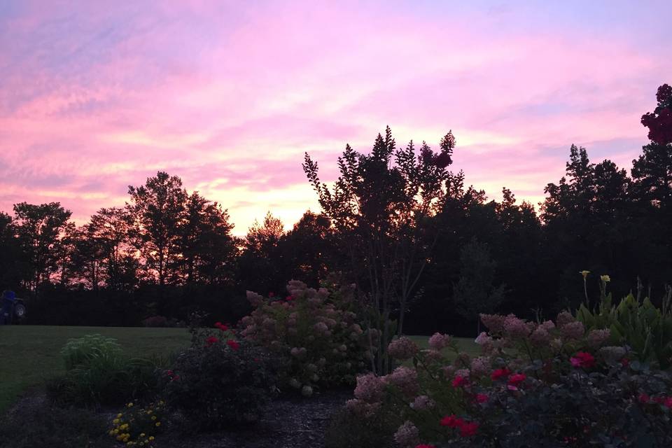 Sunset behind the flower garden