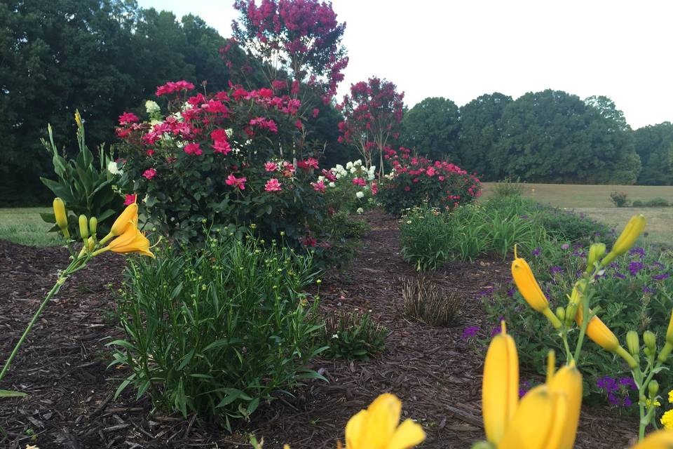 Carriage Trail Farm