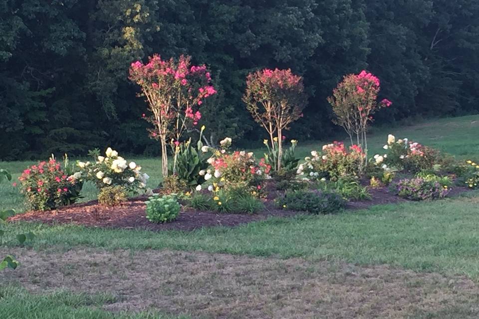 Carriage Trail Farm