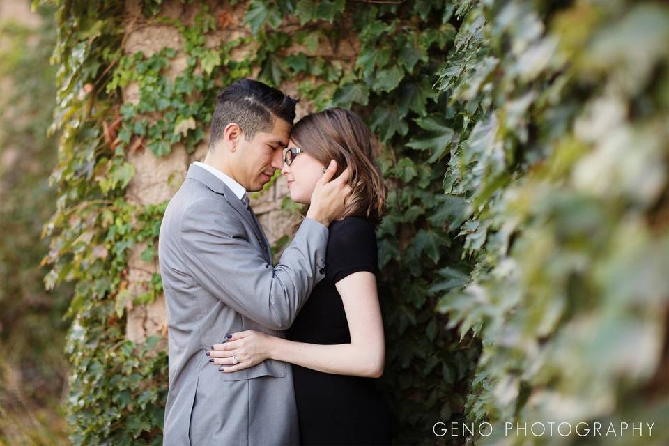 Cedar falls engagement