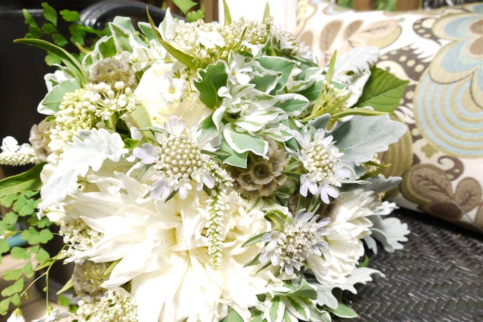 Garden style bridal nosegay of white dahlias, rice flower, snow on the mountain, dusty miller, veronica & scabiosa