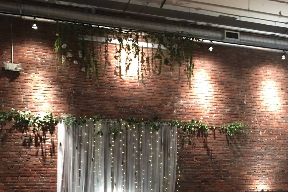 Fairy lights & tulle backdrop