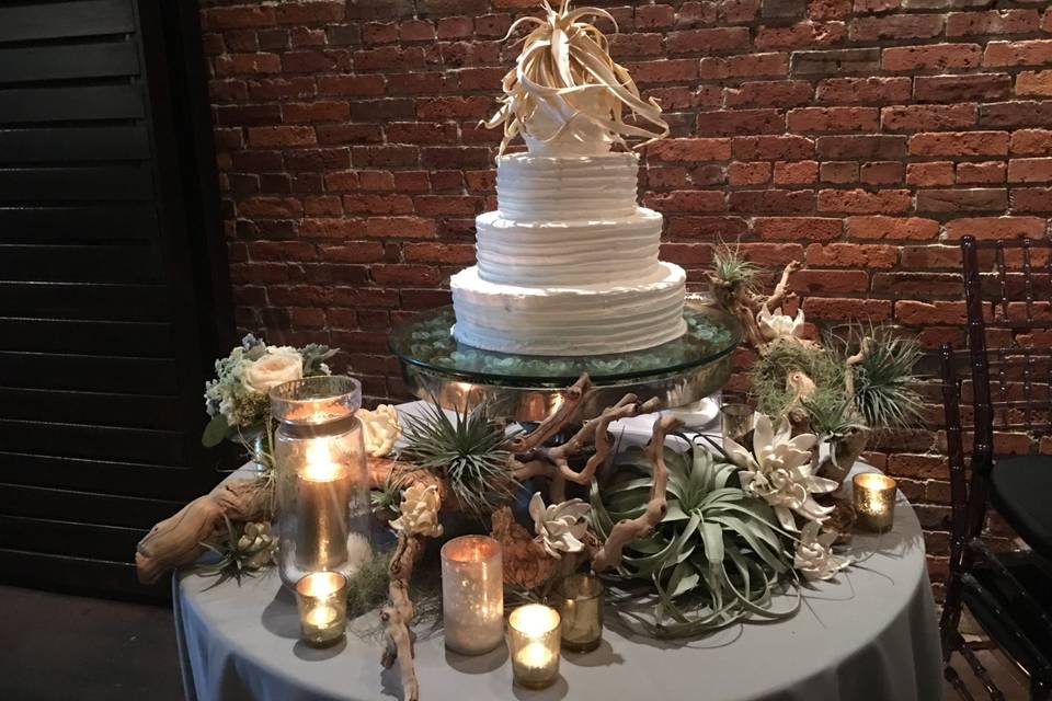 Succulent cake Axis Seattle