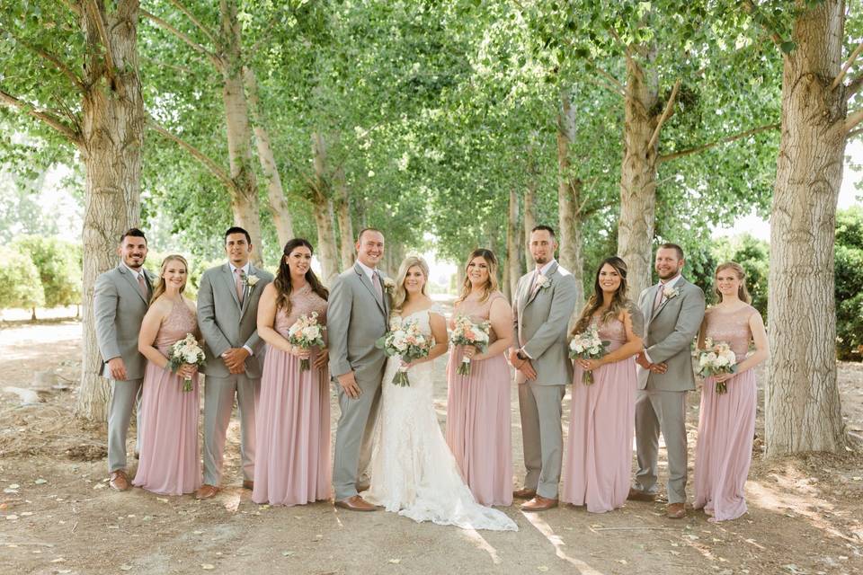 Blush and Grey Bridal Party