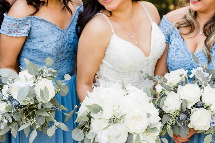 Bride and Bridesmaids