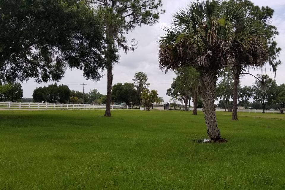 Front yard of mansion