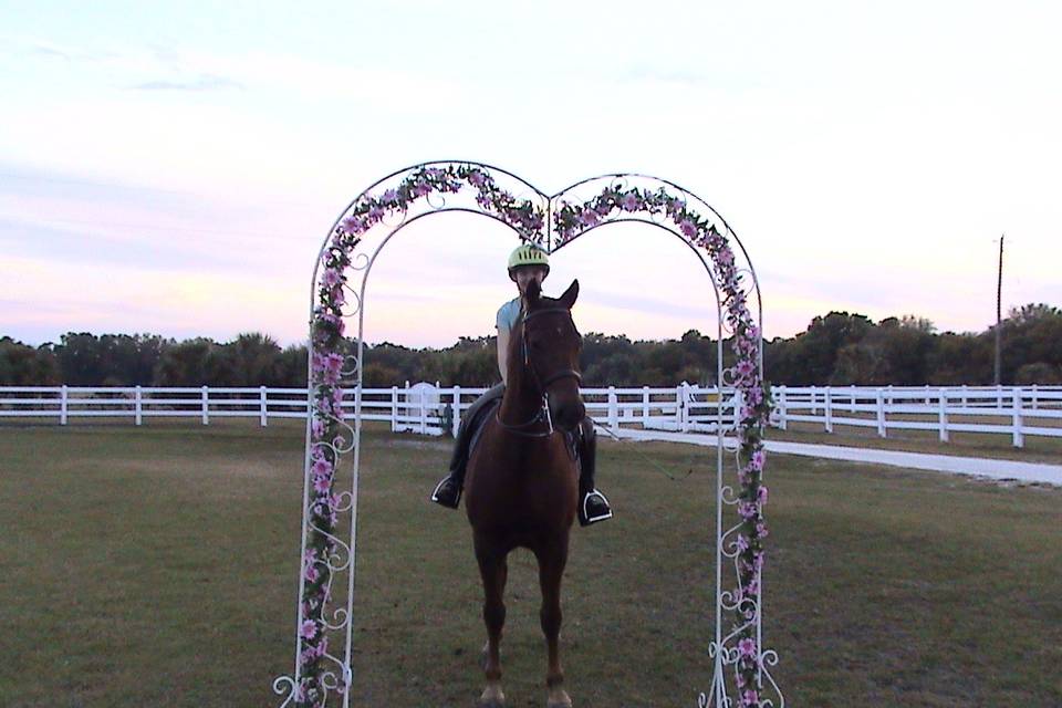 Marquie modelin the arch