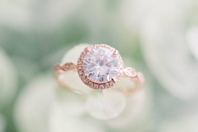 Johannah Joy Photography