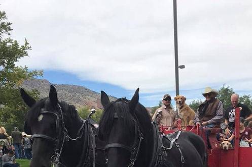 Two-horse carriage