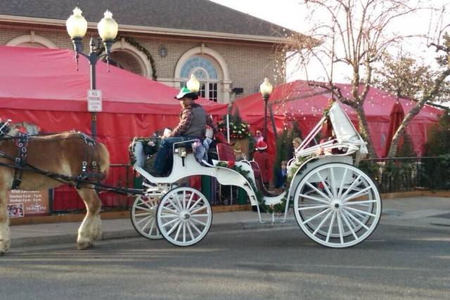 Rustic and refined wedding transport