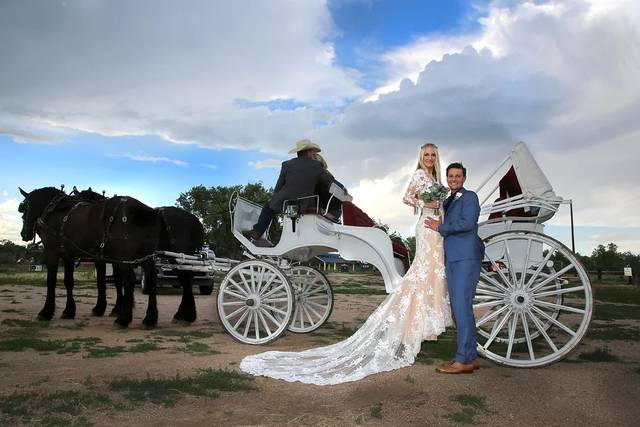 Vintage wedding carriage