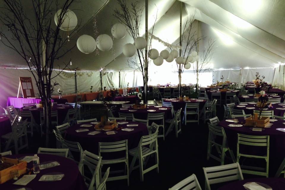 Ace Party Rental