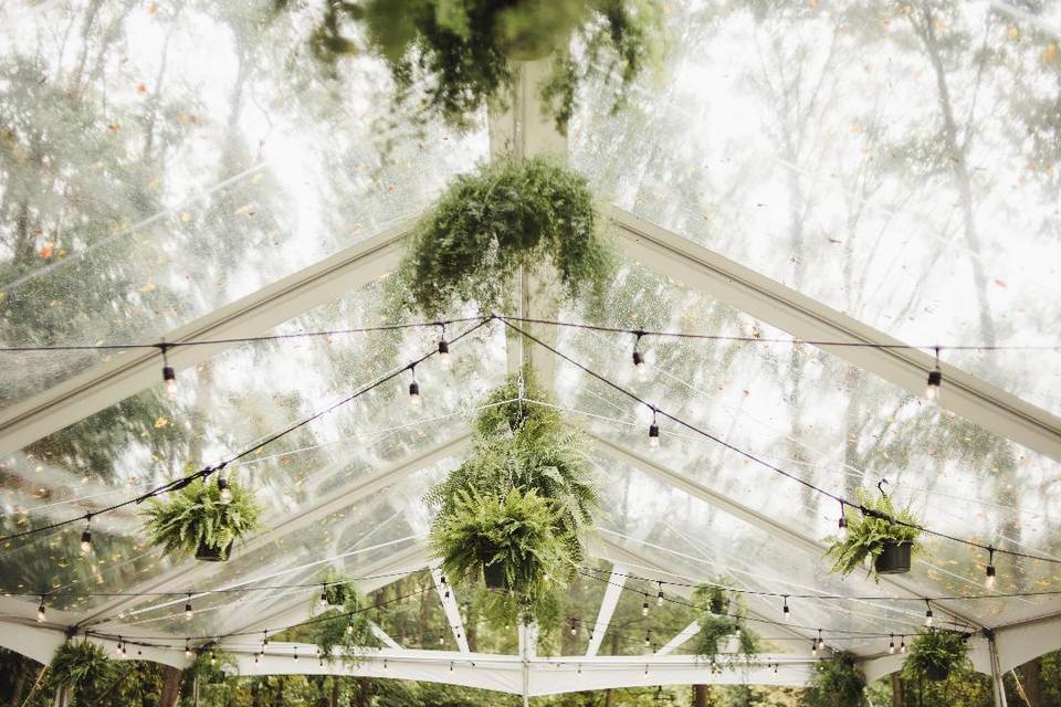 Market lighting and greenery