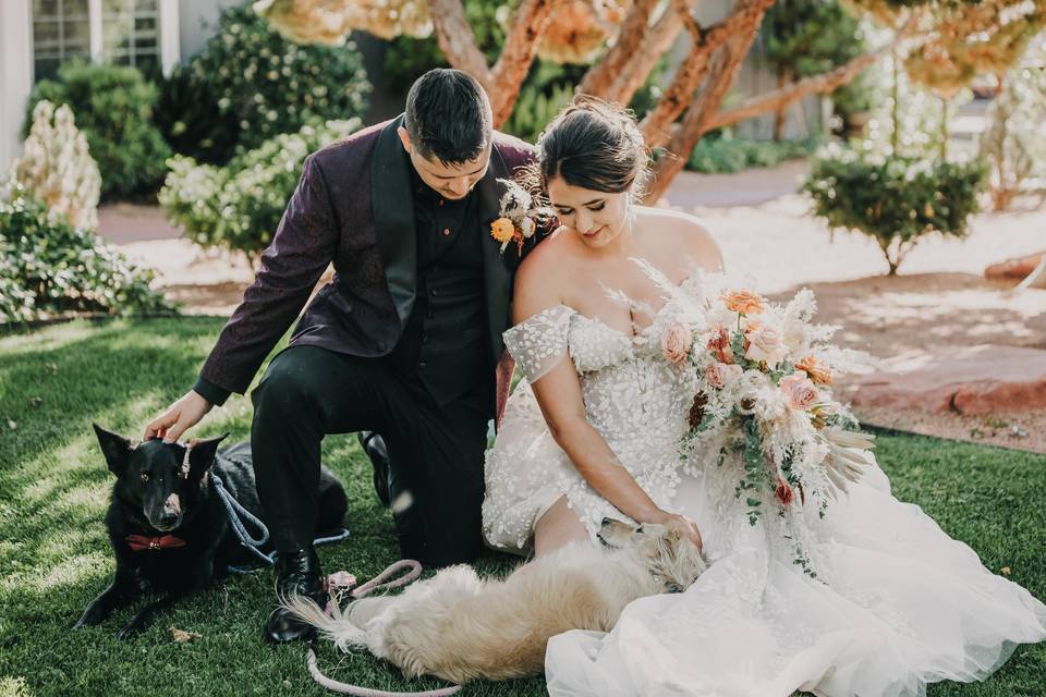 Dogs in weddings