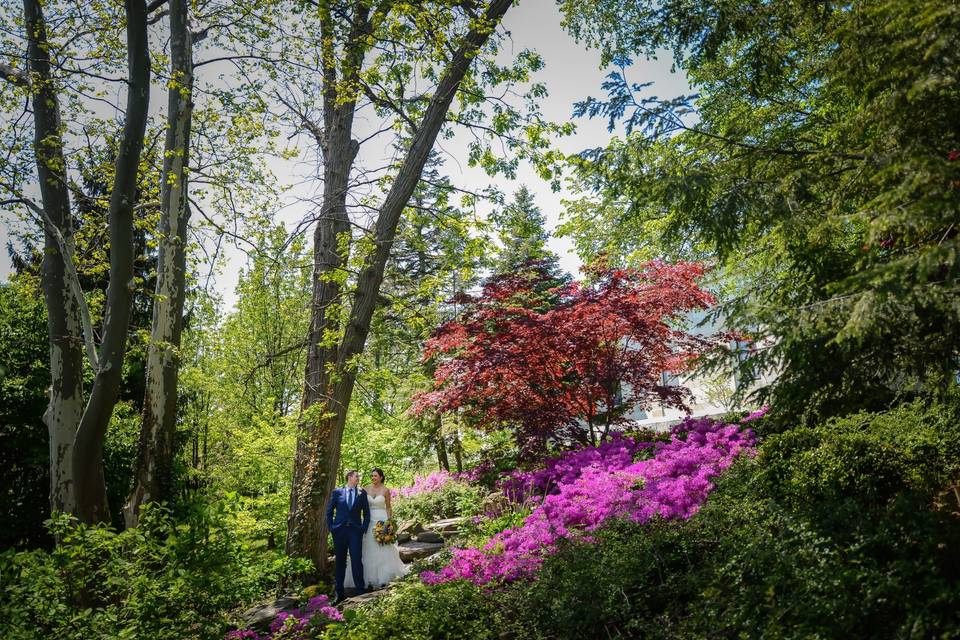 Japanese Gardens