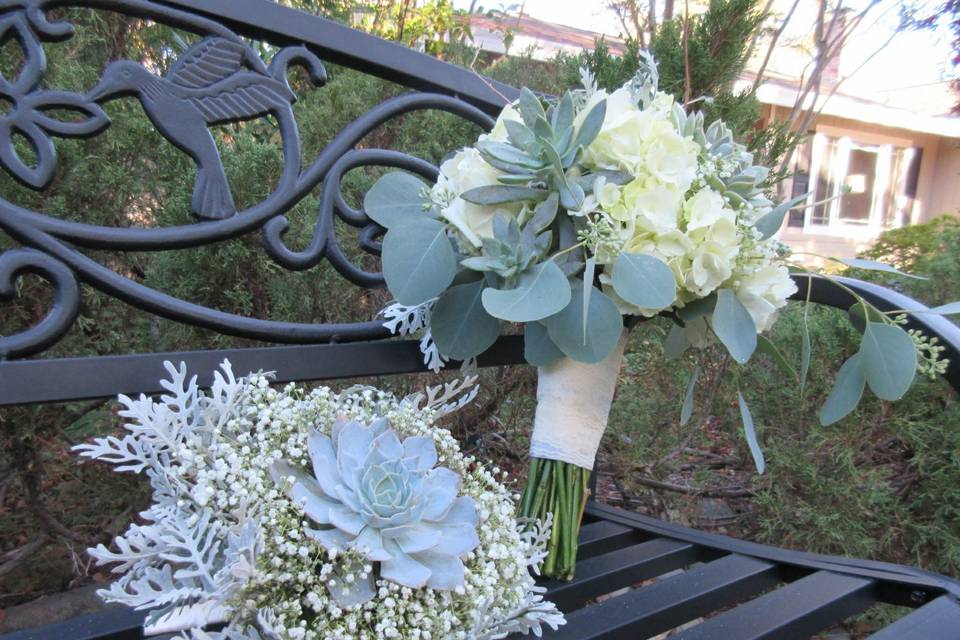 Succulents and baby's breath