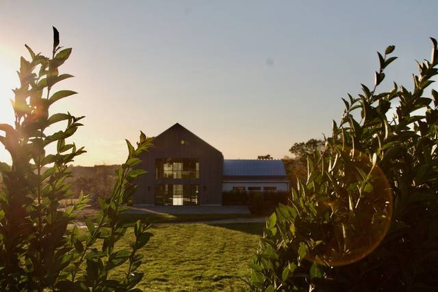 Kingdom of the Hawk Vineyard