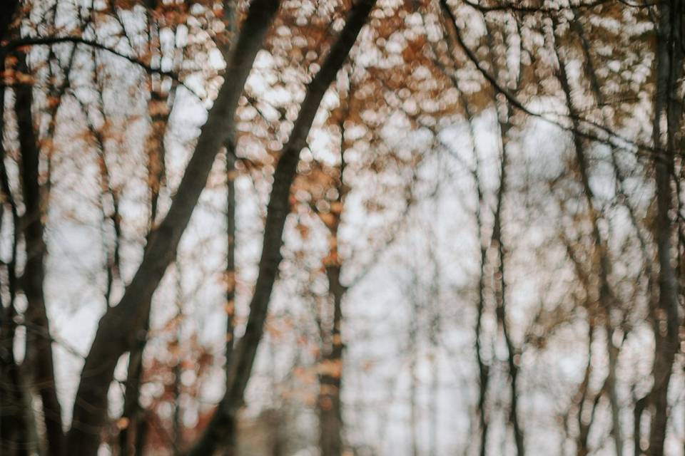 Albany Elopement