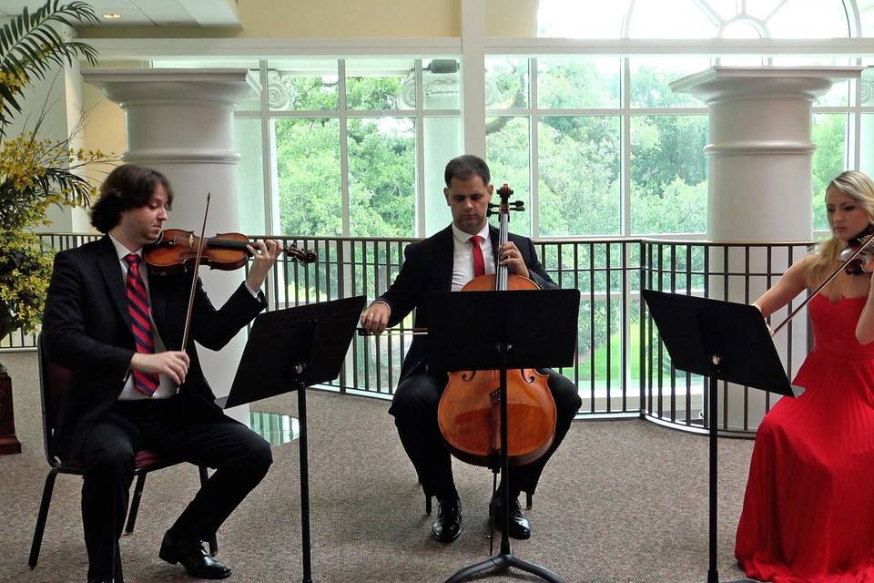 Classical String Quartet