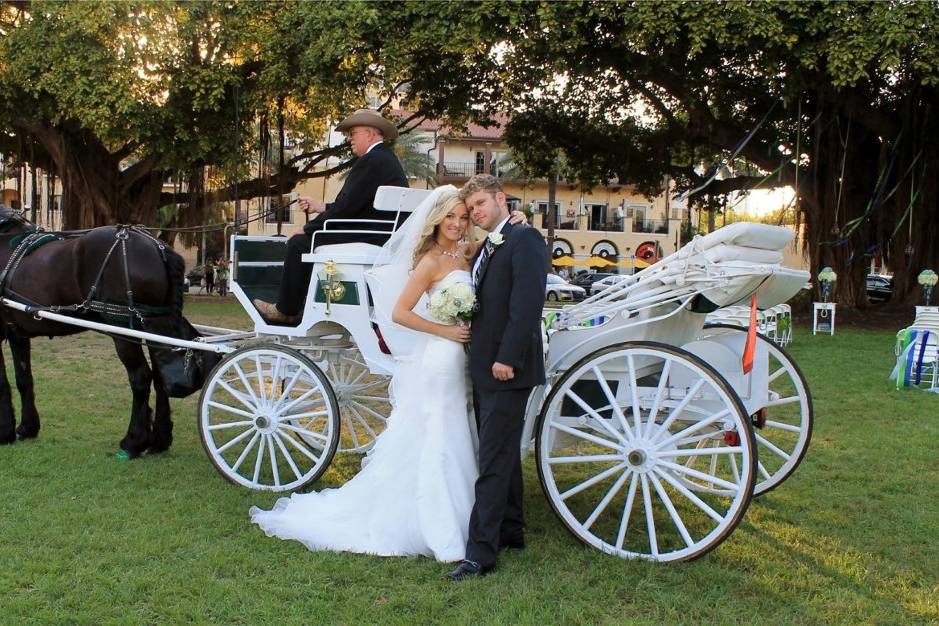 St Petersburg Carriages