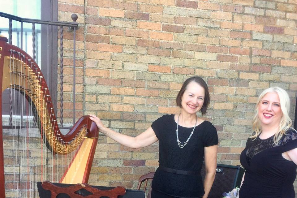 Milwaukee Harpist - Mary E Keppeler