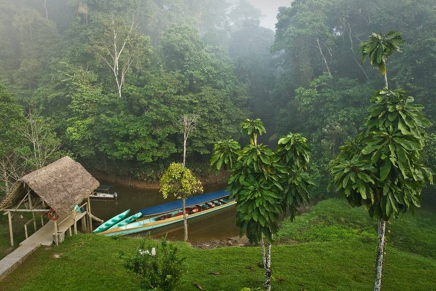 Ecuador's Yasuni National park
