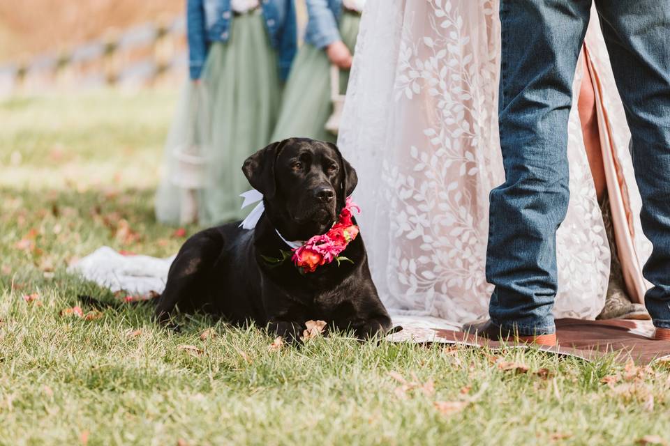 Bright and colorful wedding