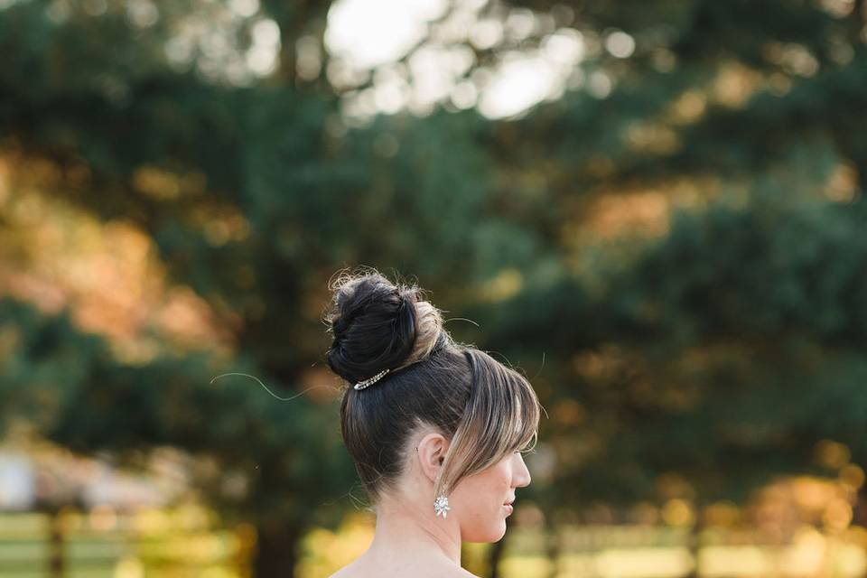 High updo