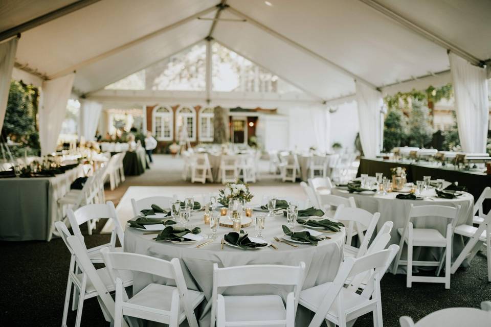 Outdoor reception setup