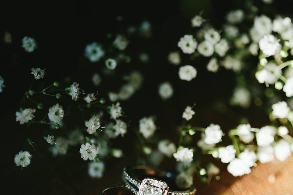 Taylor O'Neal Photography