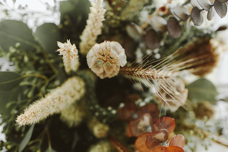 Taylor O'Neal Photography