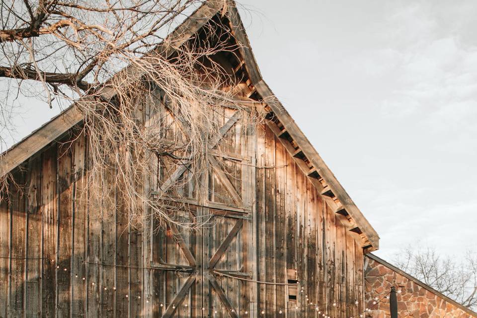 Taylor O'Neal Photography