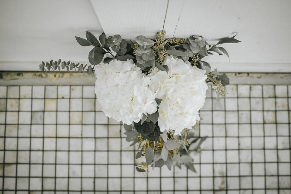 Taylor O'Neal Photography
