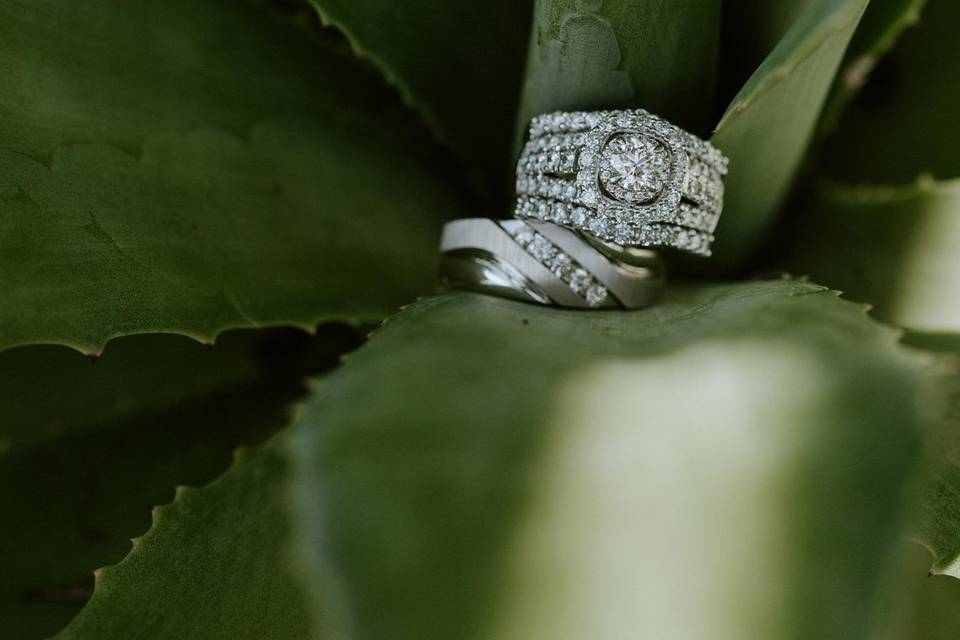 Taylor O'Neal Photography