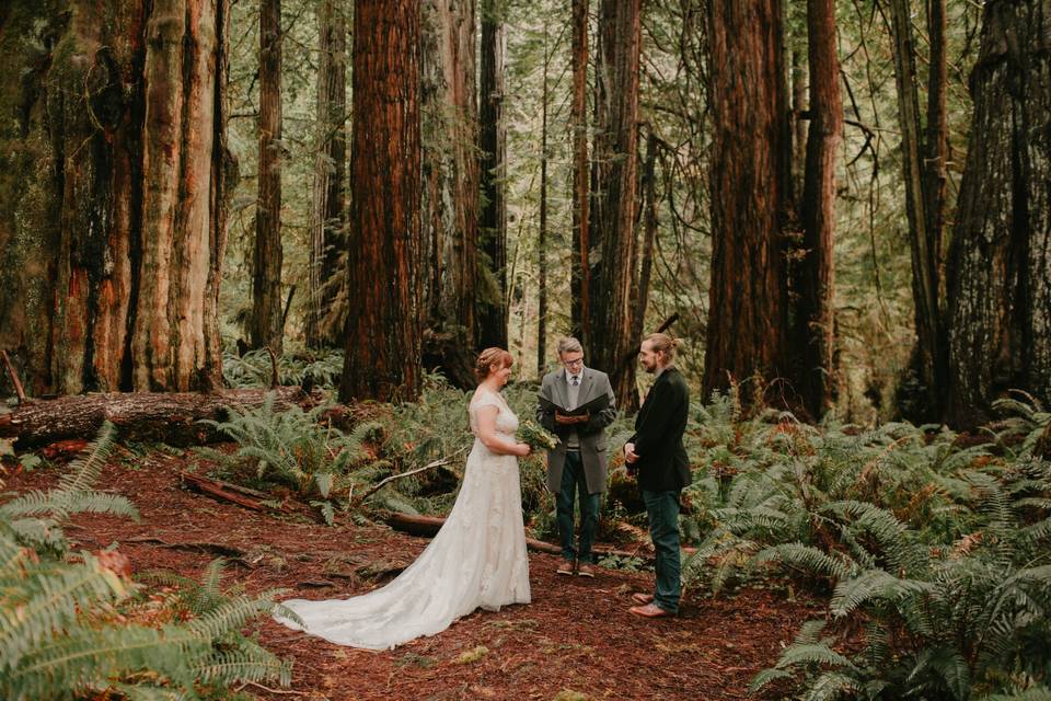 Taylor O'Neal Photography