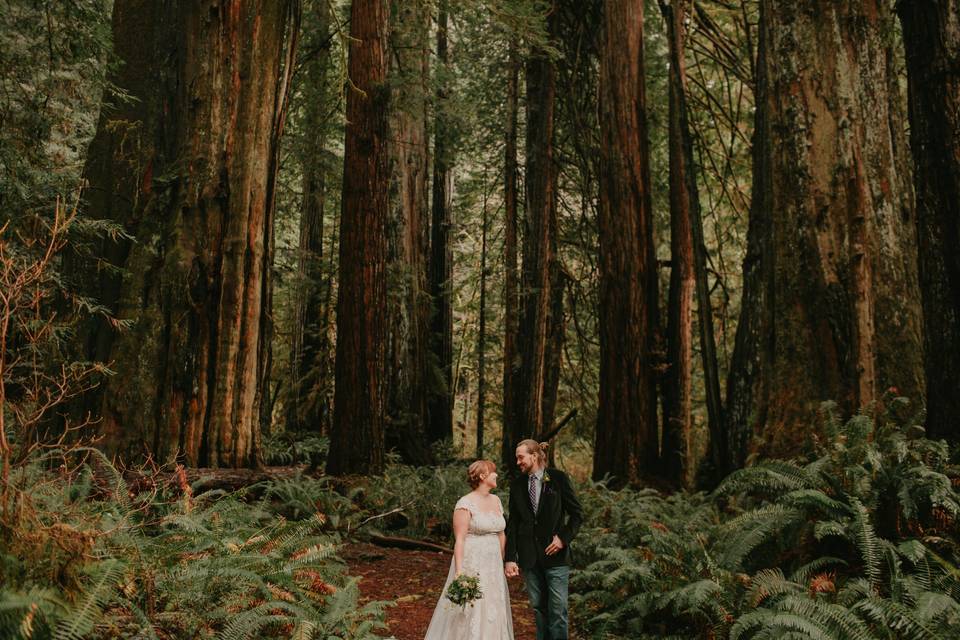 Taylor O'Neal Photography