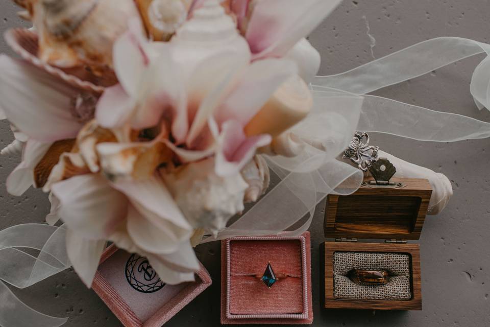 Taylor O'Neal Photography