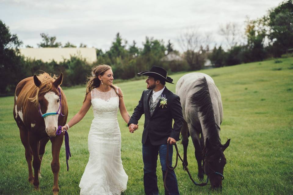 Bride  and groom with Horses