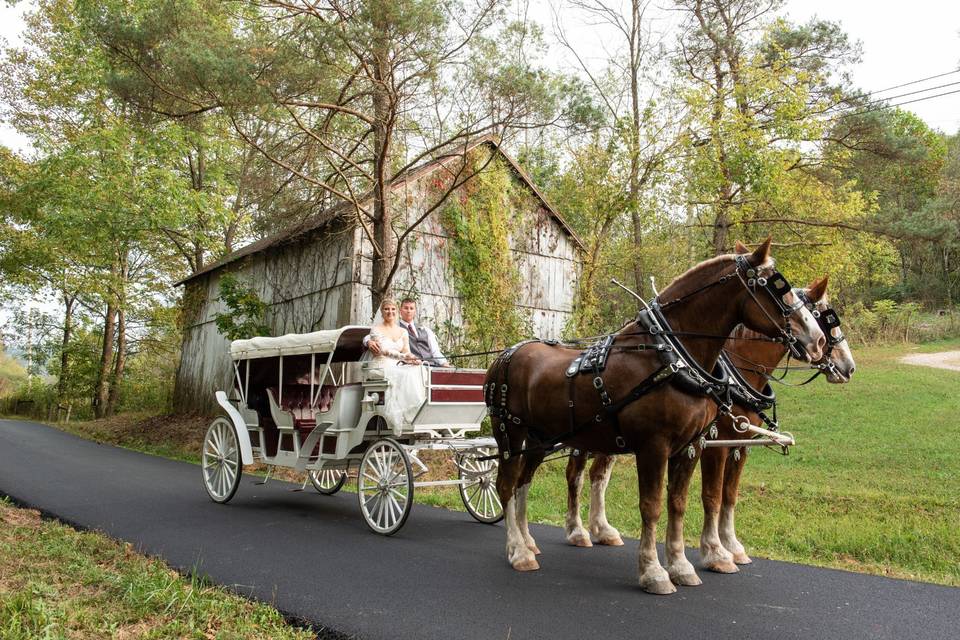 Romantic horse drawn carriage