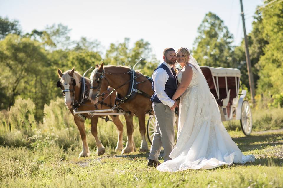 Horse carriage