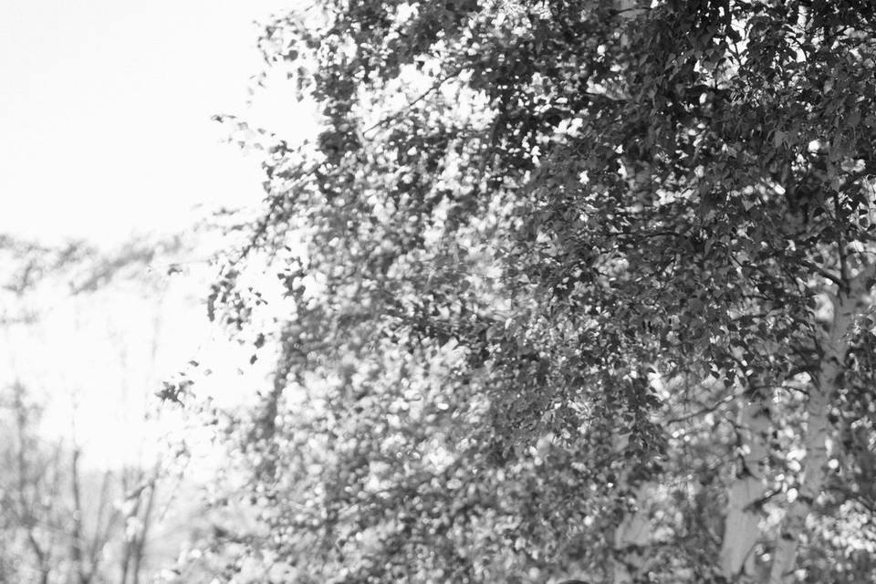 E Blanco Photo