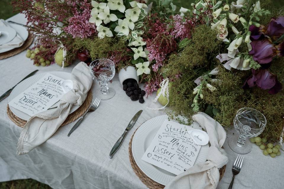 Rachel Vitagliano Events
