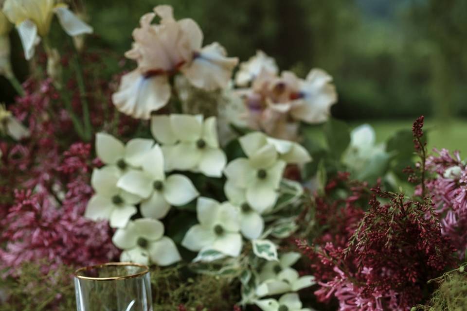 Kristy Burrell Photography