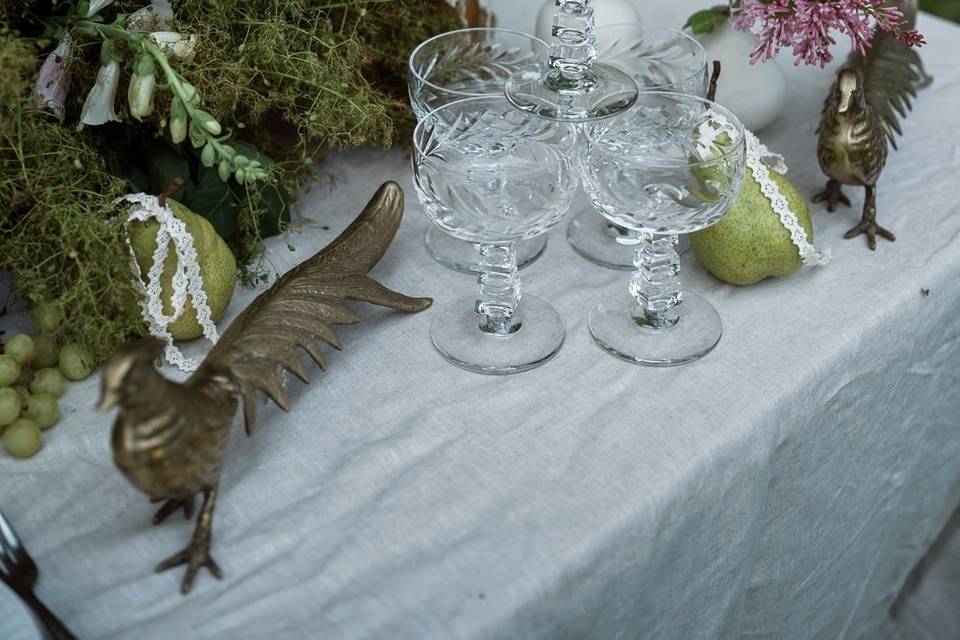 Kristy Burrell Photography