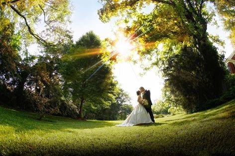 Lynn Brown Photography