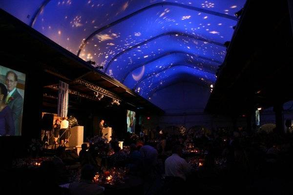 Giving your star field a deep, rich blue creates romance that rivals an outdoor wedding on the most lavish venue.