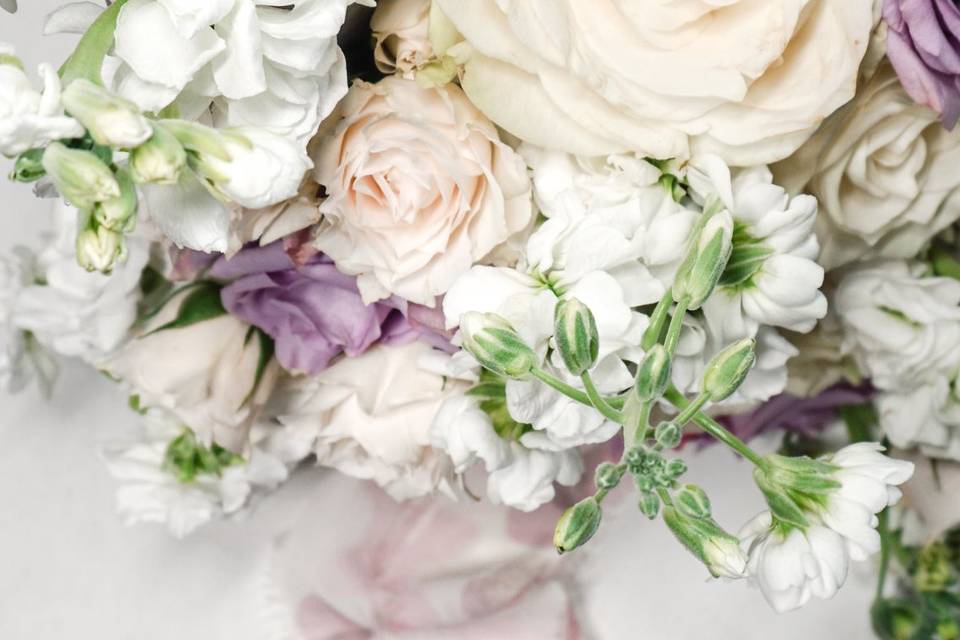 Samantha + Daniel Wedding