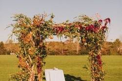 Bird Watching & Pruning Floral