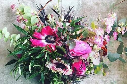 Bird Watching & Pruning Floral